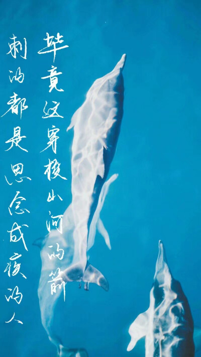 原创手写 还会继续努力 希望喜欢 微博关注@豫安七木生 欢迎来打扰欢迎来约字