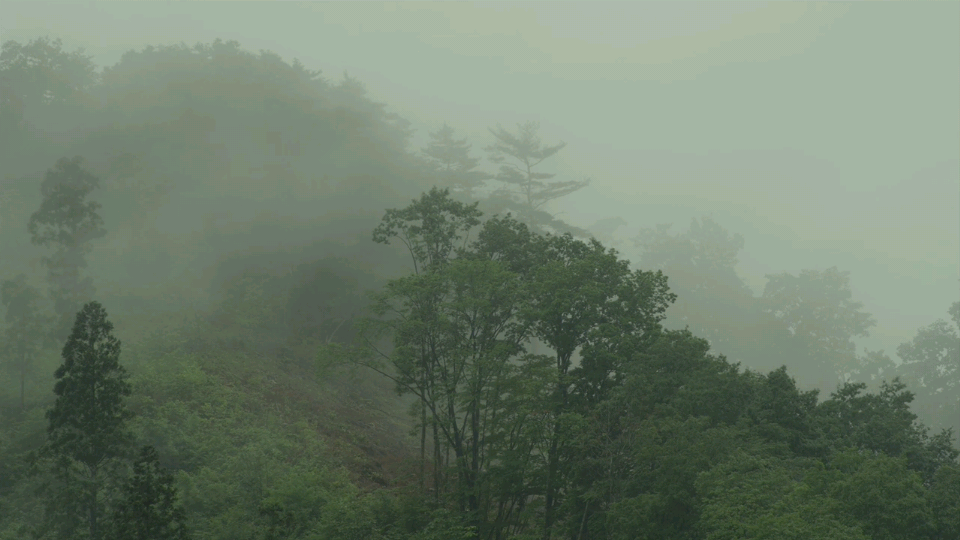 小森林夏秋篇