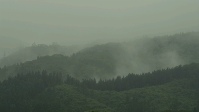 小森林夏秋篇