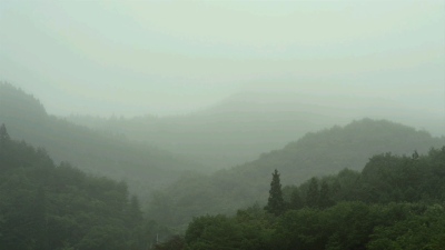 小森林夏秋篇