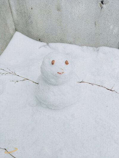 雪地偶遇晒多肉的，和我可爱的小雪人