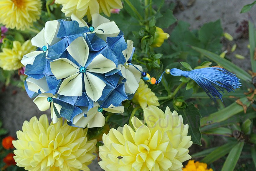 Кусудама Wind flower
Автор: Владимир Фролов
Размер бумаги: 9,5 на 9,5см
Размер кусудамы: около 11см
Диаграмма