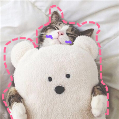 猫 吸猫 头像 表情包 可爱 撸猫墙QQ：18589700