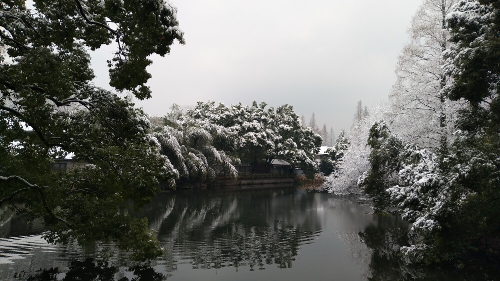 记西湖游