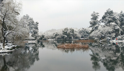 记西湖游