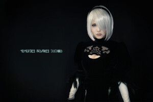 Nier  cosplay