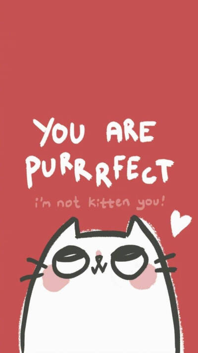 壁纸 红色 猫咪 乐观向上