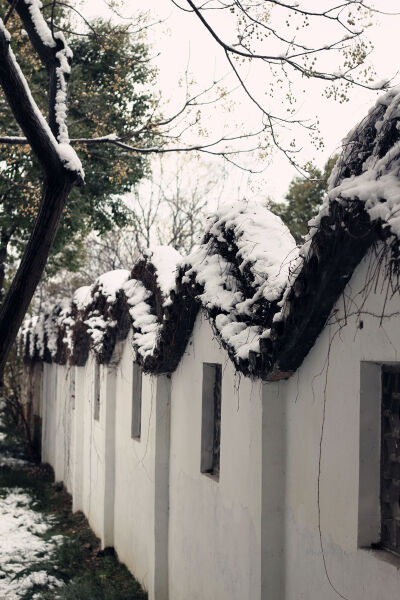 迎来大雪的上海，虽然清冷，此情此景，必拍留念~