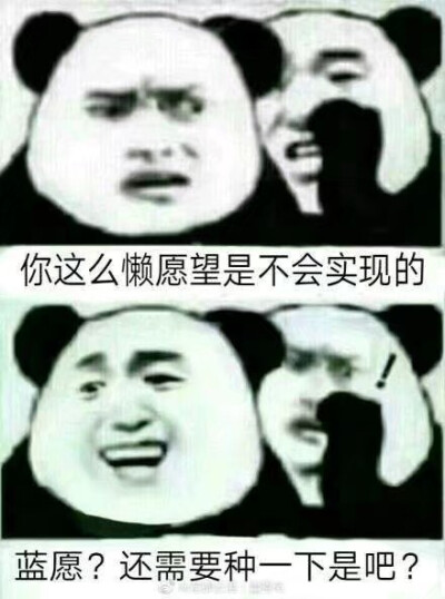 哈哈哈哈哈哈哈哈哈哈哈是我了