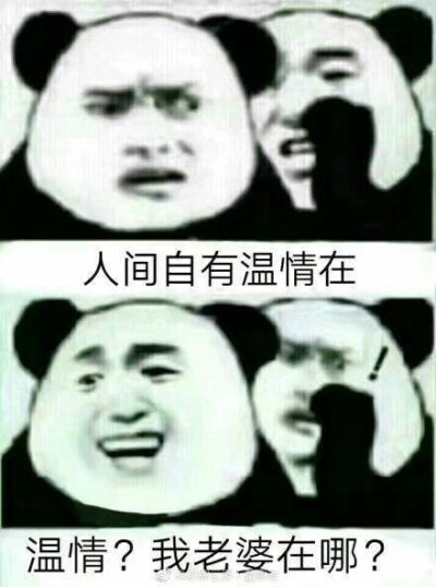 哈哈哈哈哈哈哈哈哈哈哈是我了