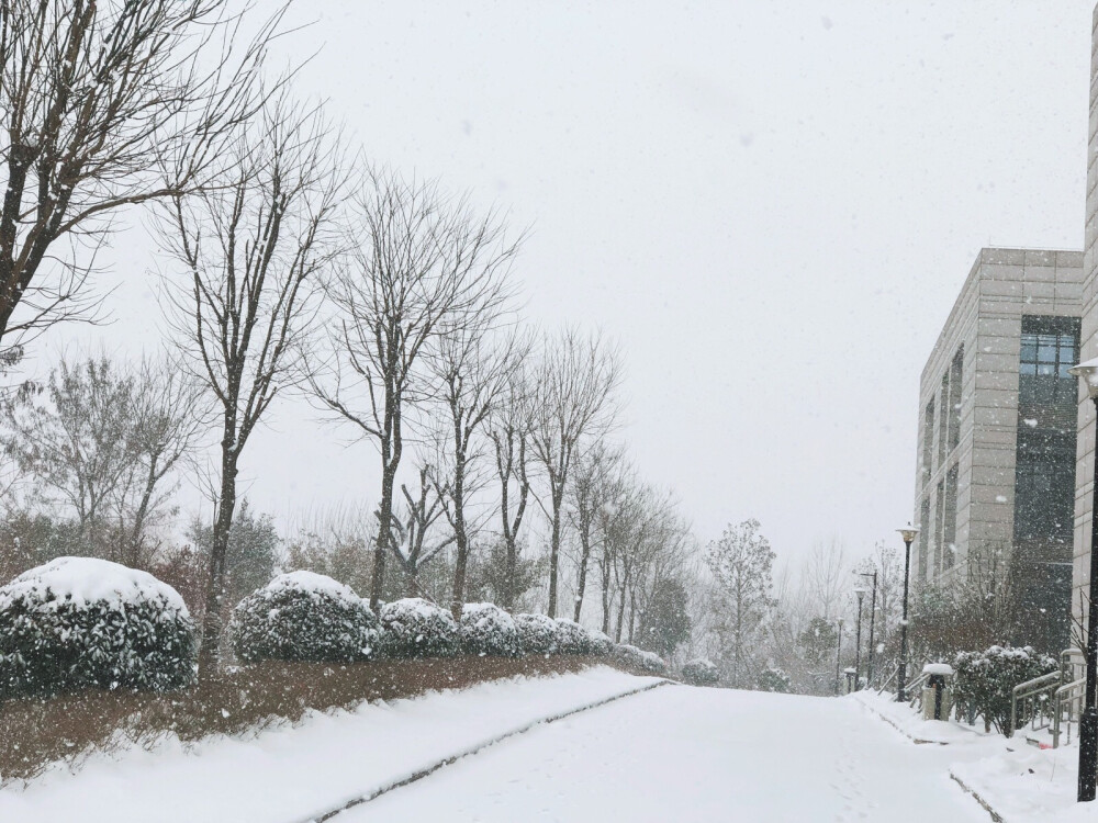 西安第二场大雪
不用一夜之间
只车水马龙的白天积雪就厚到让我惊叹
这里像个局限地 有幸踏雪一会会