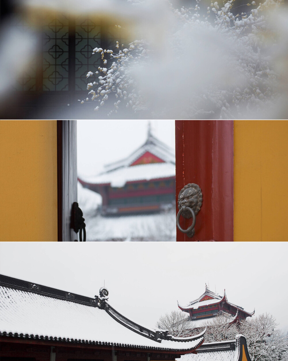 料得和雪入梦 翠衾夜夜生寒.
于南京 | 明孝陵 杭州 | 灵隐寺
cr微博：木白-文