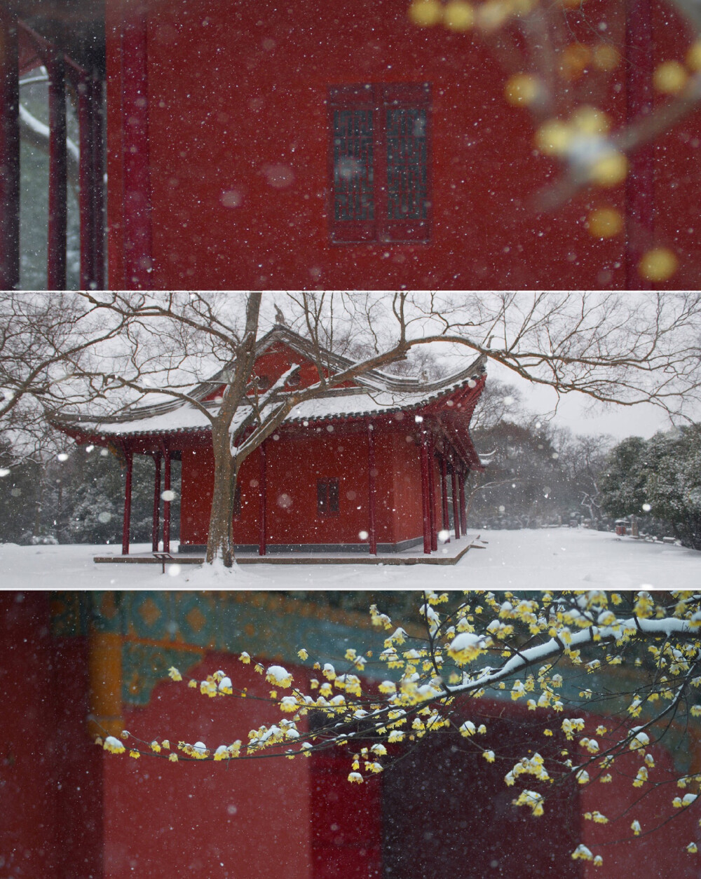 料得和雪入梦 翠衾夜夜生寒.
于南京 | 明孝陵 杭州 | 灵隐寺
cr微博：木白-文