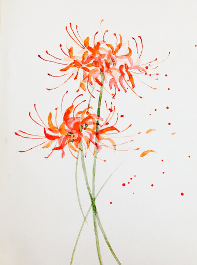 【花间集】作者：白岫