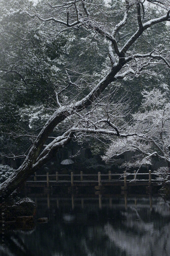 江南雪 · 无锡寄畅园 | 摄影：@空谷寻芳 ​​​​