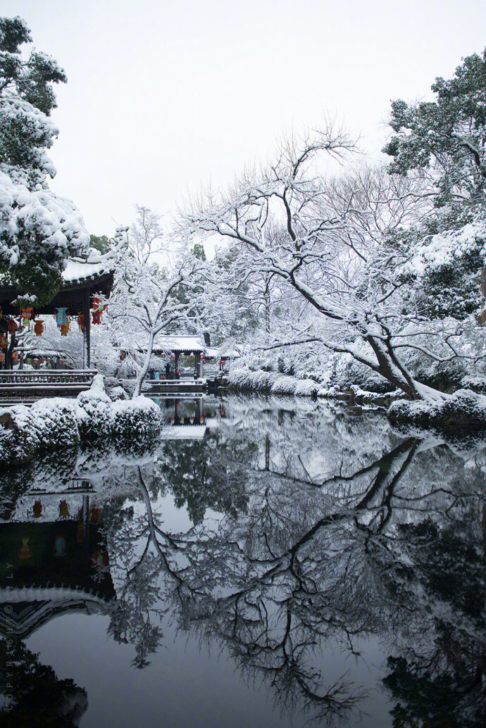 江南雪 · 无锡寄畅园 | 摄影：@空谷寻芳 ​​​​