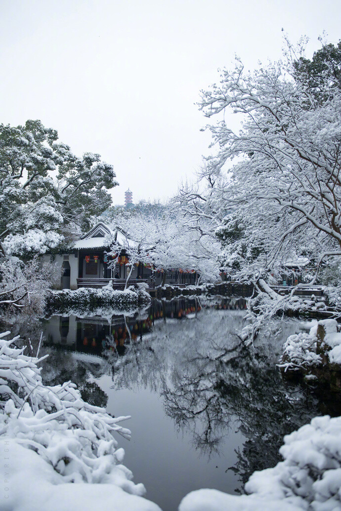 江南雪 · 无锡寄畅园 | 摄影：@空谷寻芳 ​​​​