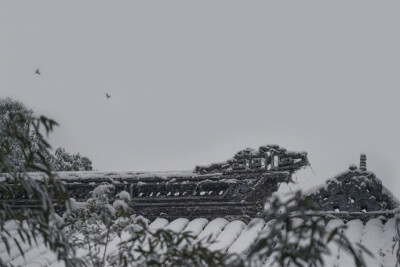 江南雪 · 无锡寄畅园 | 摄影：@空谷寻芳 ​​​​