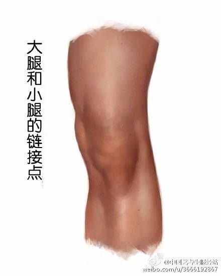 膝盖结构，技法，临摹，素描