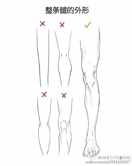 腿，膝盖结构，技法，临摹，素描