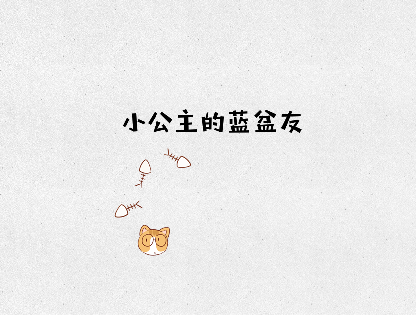 扣扣名片/久