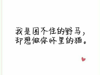 扣扣名片/久