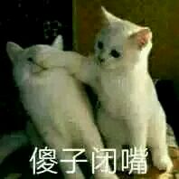 关于喵星人的表情包