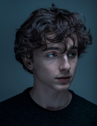 蒂莫西·柴勒梅德 timothée chalamet (图片出自2017年圣丹斯电影节，摄影师：Michael Friberg) ​​​​