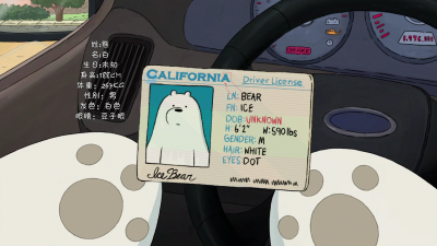 Ice Bear ID