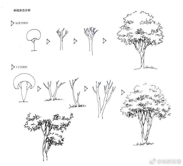 转载 版权归原作者所有 树的画法