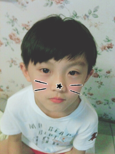 马嘉祺 TF家族 猫捡球