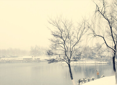 龙背山雪景，摄于宜兴