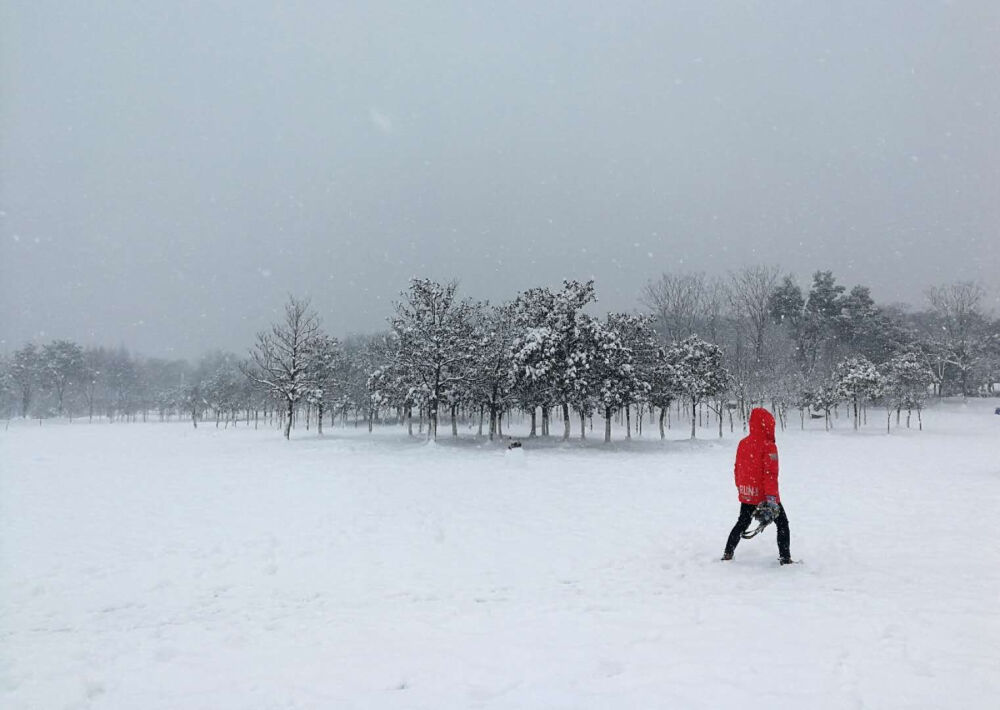 龙背山雪景