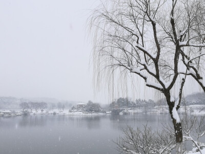 龙背山雪景