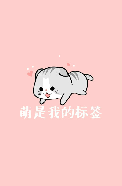 小猫壁纸