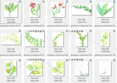 手绘水彩植物叶子花卉贺卡片平面包装设计插画png设计素材png284