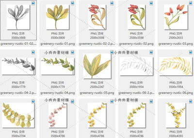 手绘水彩植物叶子花卉贺卡片平面包装设计插画png设计素材png284