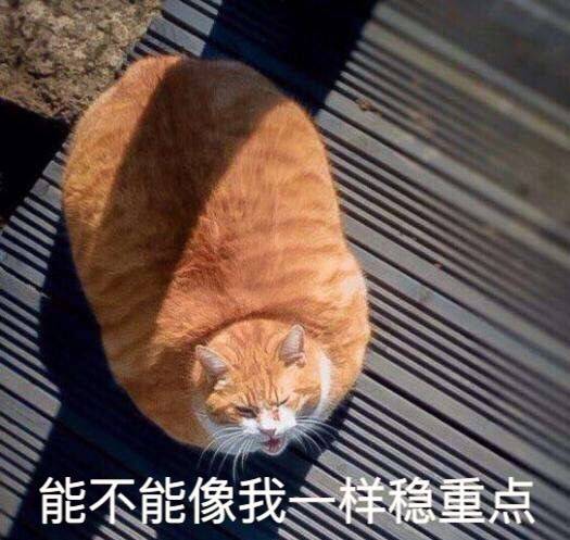 表情包 可爱 喵星人