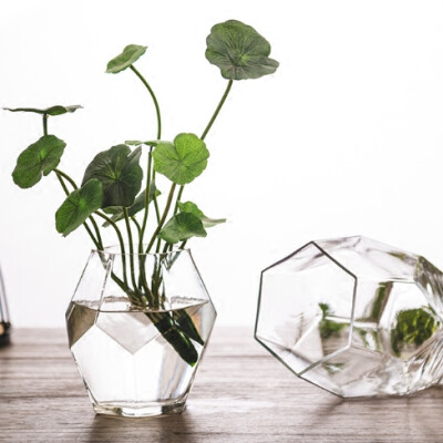 现代简约透明几何形玻璃花瓶创意客厅插花器家居花艺装饰品摆件设