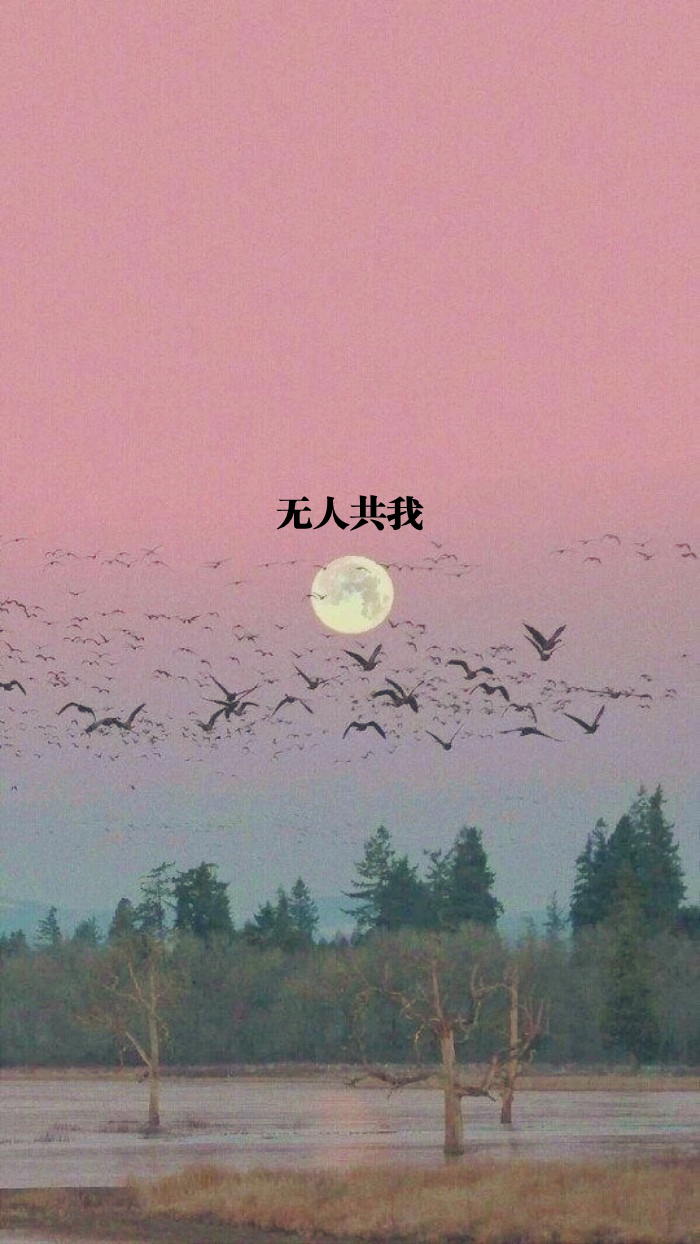 自制+壁纸+背景+文字+禁止加水印修改