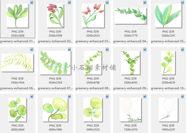 手绘水彩植物叶子花卉贺卡片平面包装设计插画png设计素材png284