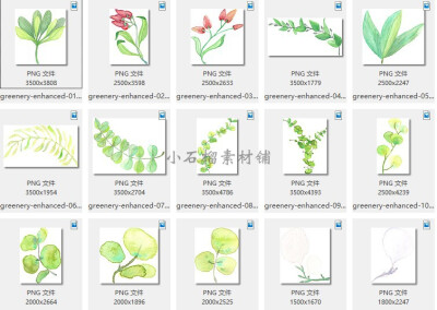 手绘水彩植物叶子花卉贺卡片平面包装设计插画png设计素材png284