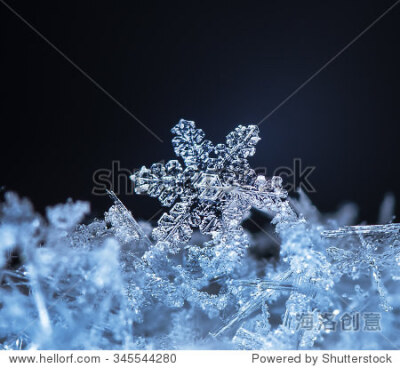 snowflakes on snow. the picture is made at a temperature of-8 C photo real snowflakes during a snowfall, under natural conditions at low temperature