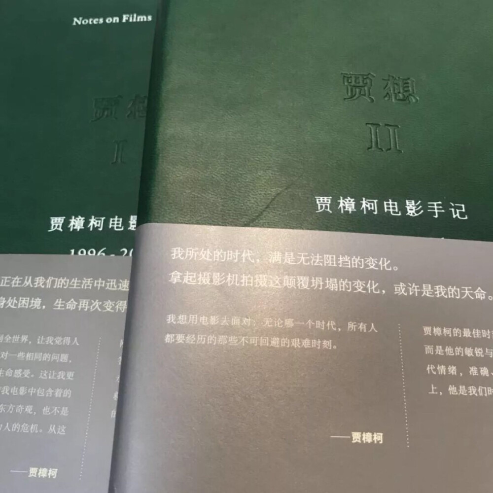 
这本书是《贾想》的延续，收入了2009至2016年的文字。看这些文章，思绪总是飞散，记忆中的很多片段不停蹦出来，时间在这个夜晚被打乱了。
这是一种诚恳的个人表达，重视私人经验，坦白，谦和，安静但是有韧劲。
2002年贾樟柯去美国参加影展，特地拜会马丁·斯科塞斯。聊起天来，马丁说他喜欢《小武》，贾樟柯说，我知道你为什么喜欢这部电影，因为我拍摄的人的阶层，人的处境，和你最初拍电影的时候一样。