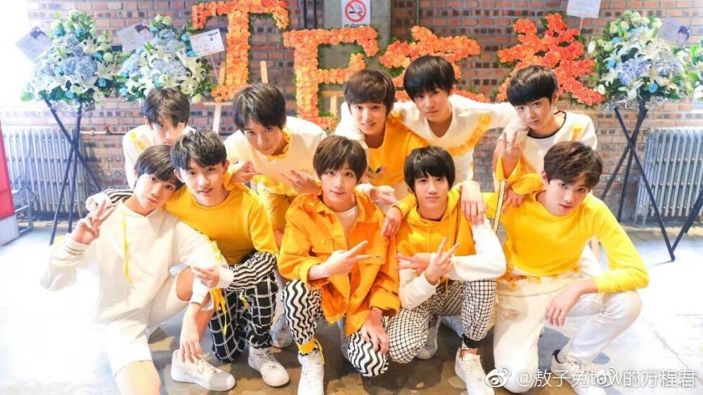 TF家族