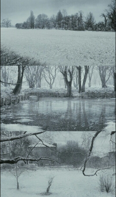 《请以你的名字呼唤我》