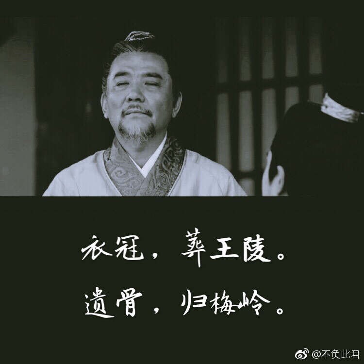 琅琊榜之风起长林~老王爷