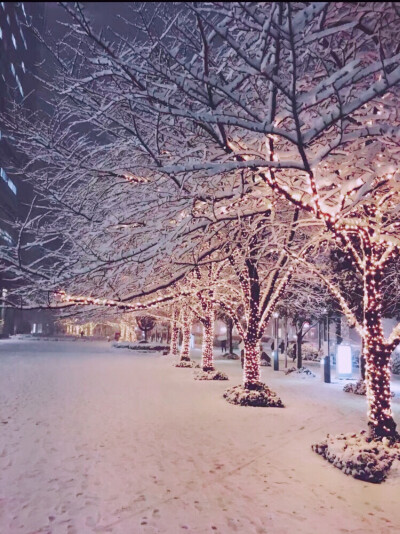 东京初雪