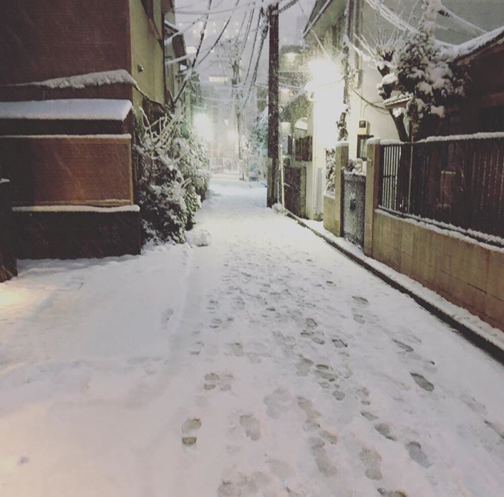 东京 雪