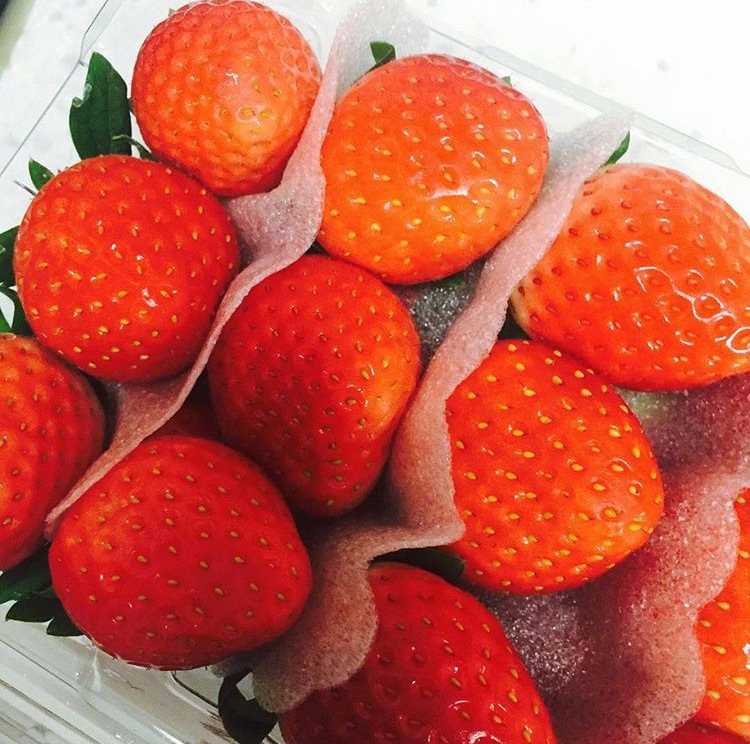 草莓 背景图封面 少女心 可爱